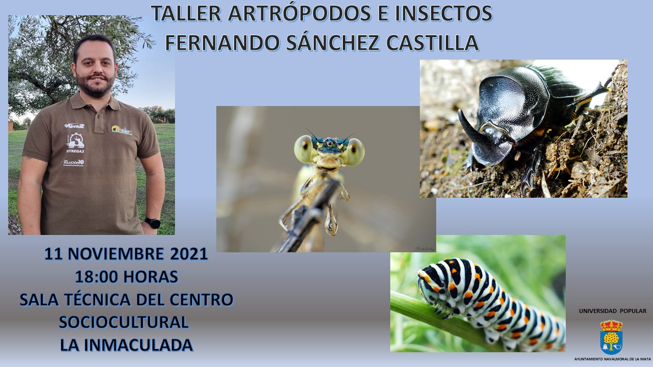 Fernando Sánchez Castilla impartirá el taller Artrópodos e Insectos